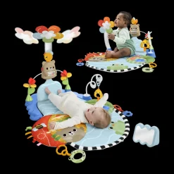 3 in 1 Kick & Sway Activity Gym