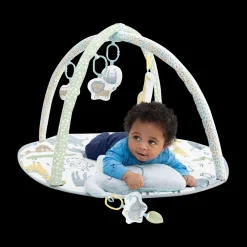 Carter's Activity Gym