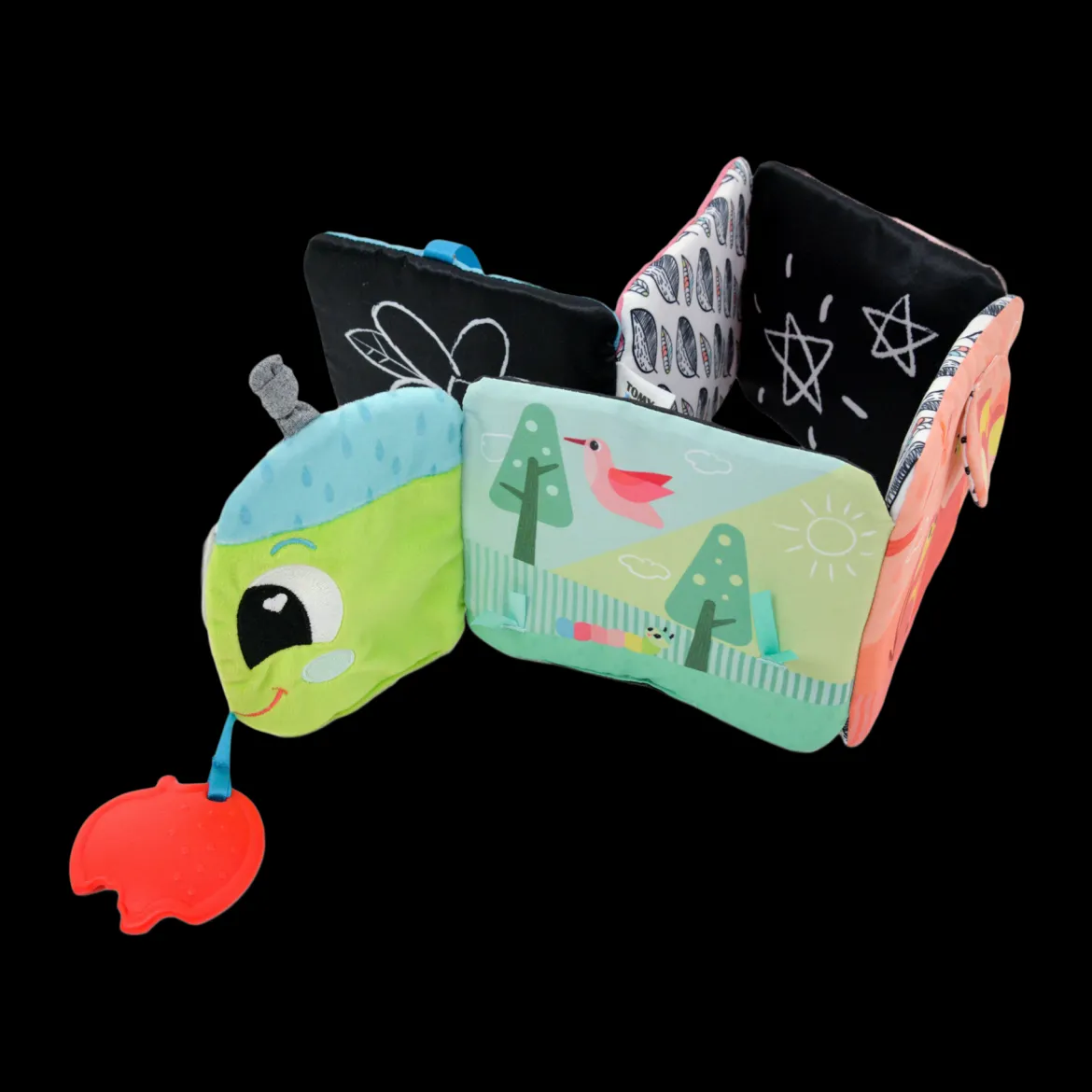 Colorful Journey Caterpillar Book