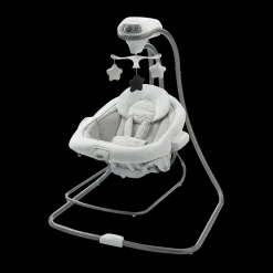 DuetConnect LX Swing and Bouncer