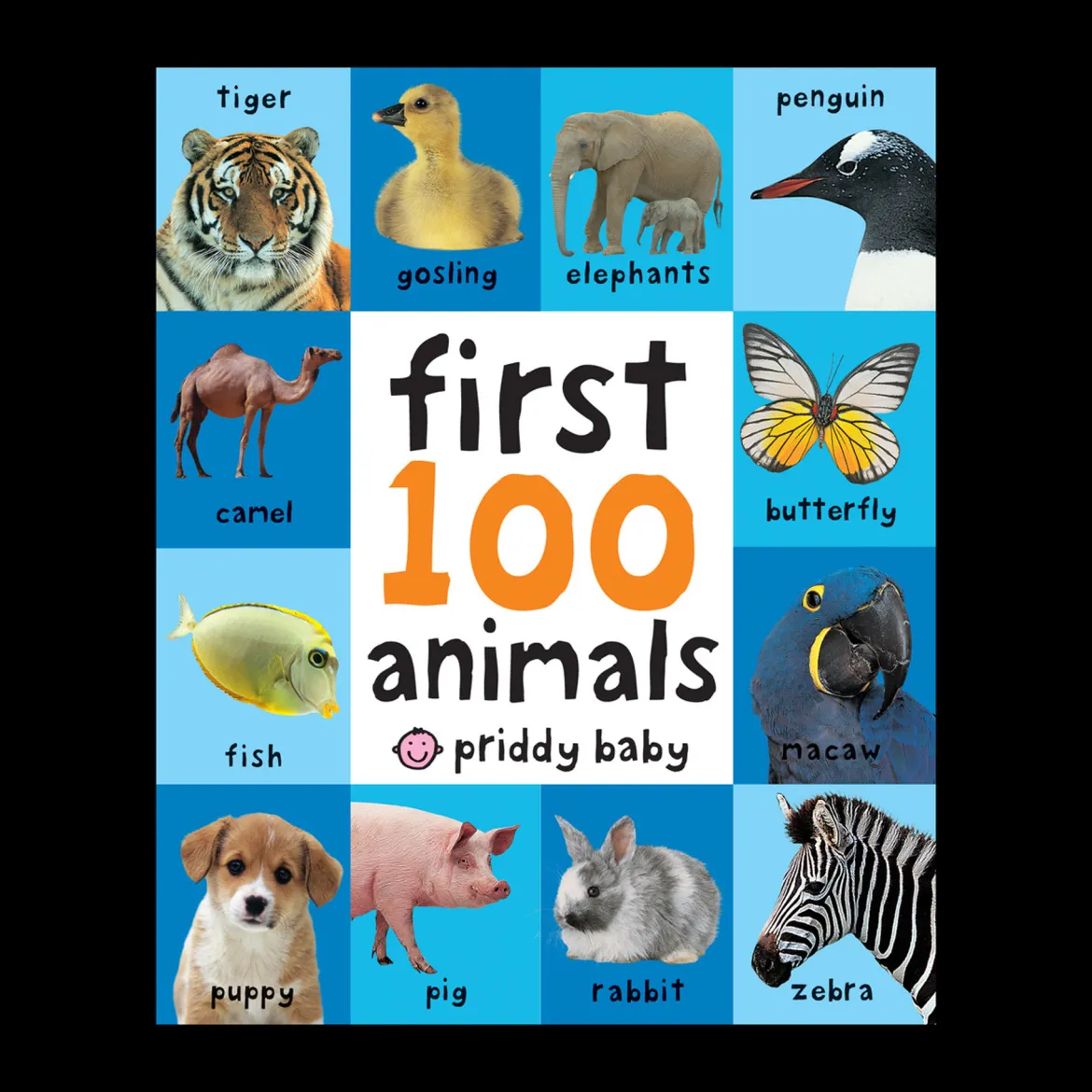First 100 Animals