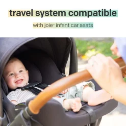 Ginger DLX Stroller