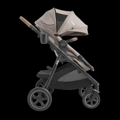 Ginger DLX Stroller