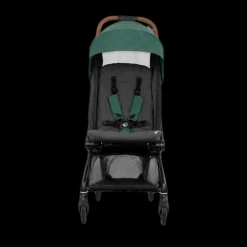 Hummingbird Carbon Fiber Lightweight Stroller