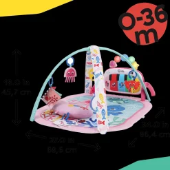 4-in-1 Kickin Tunes Music and Learning Play Gym