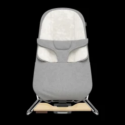 Mira 2-in-1 Bouncer and Seat