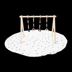 Play Gym Set