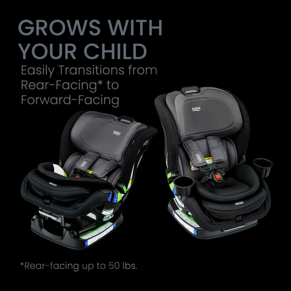 Poplar Convertible Car Seat