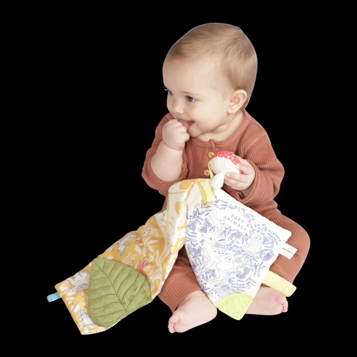 Soft Activity Crinkle Book