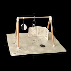 The Play Gym