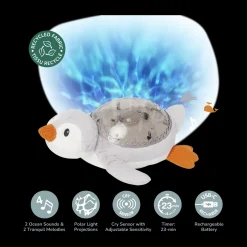 Tranquil Penguin