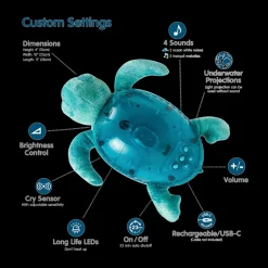 Tranquil Turtle